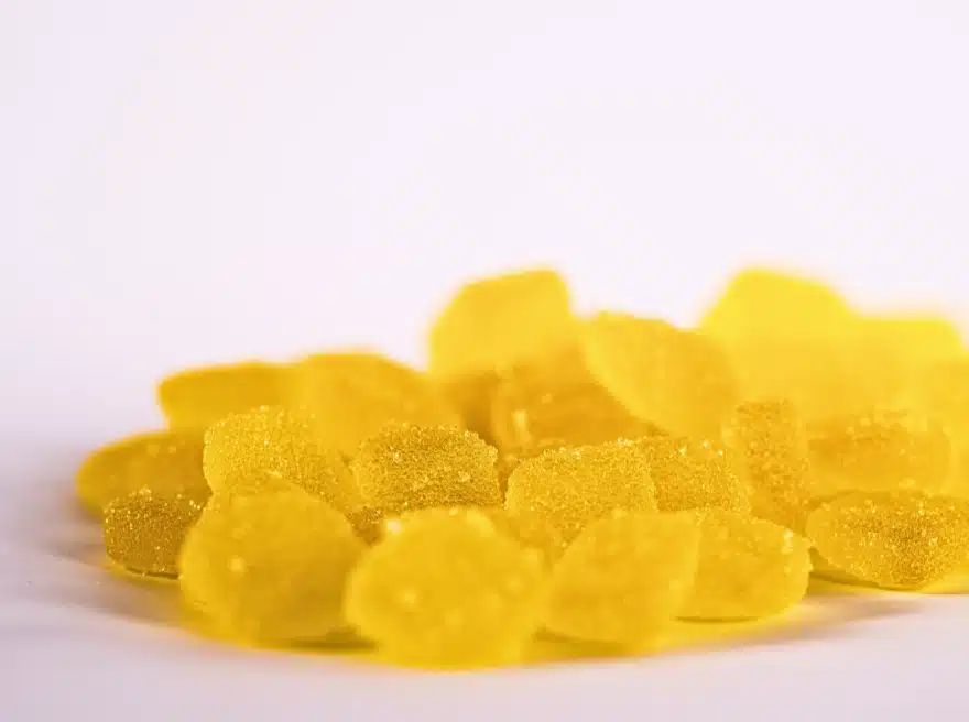 Newsletter (880 x 656 px)