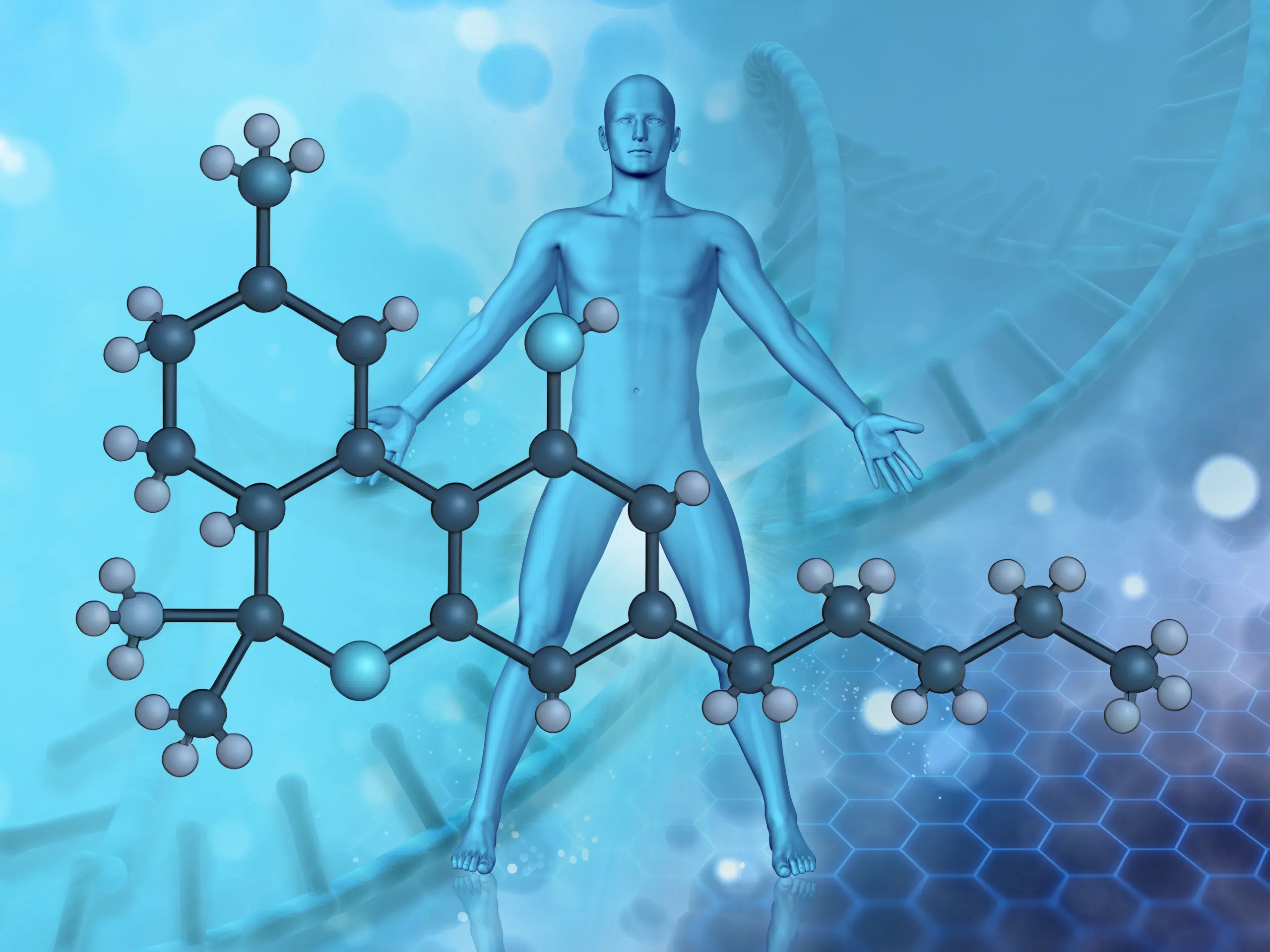 Demystifying THC: How Tetrahydrocannabinol Works in the Body