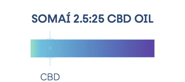 2.5 25 1
