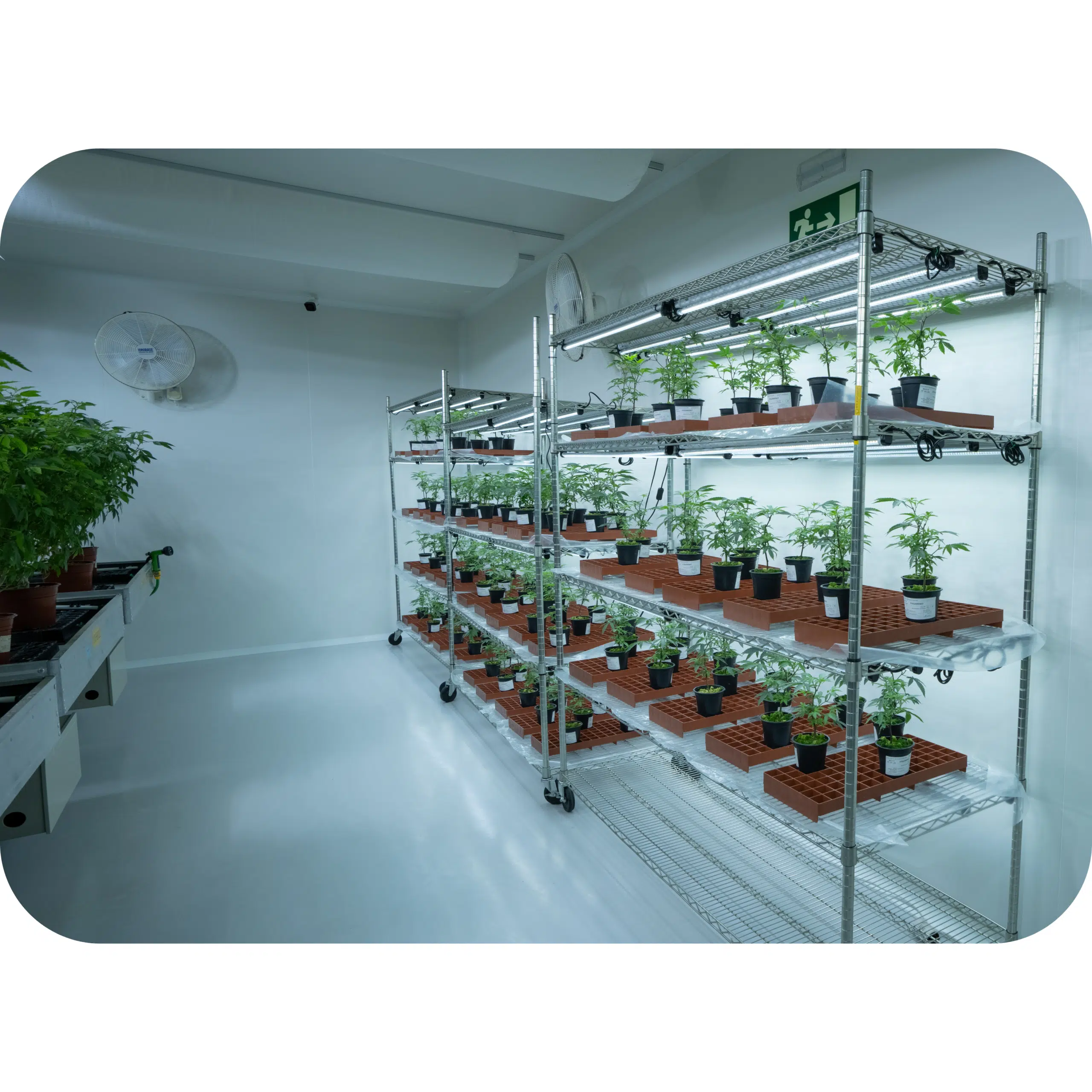 Facilities website (1)