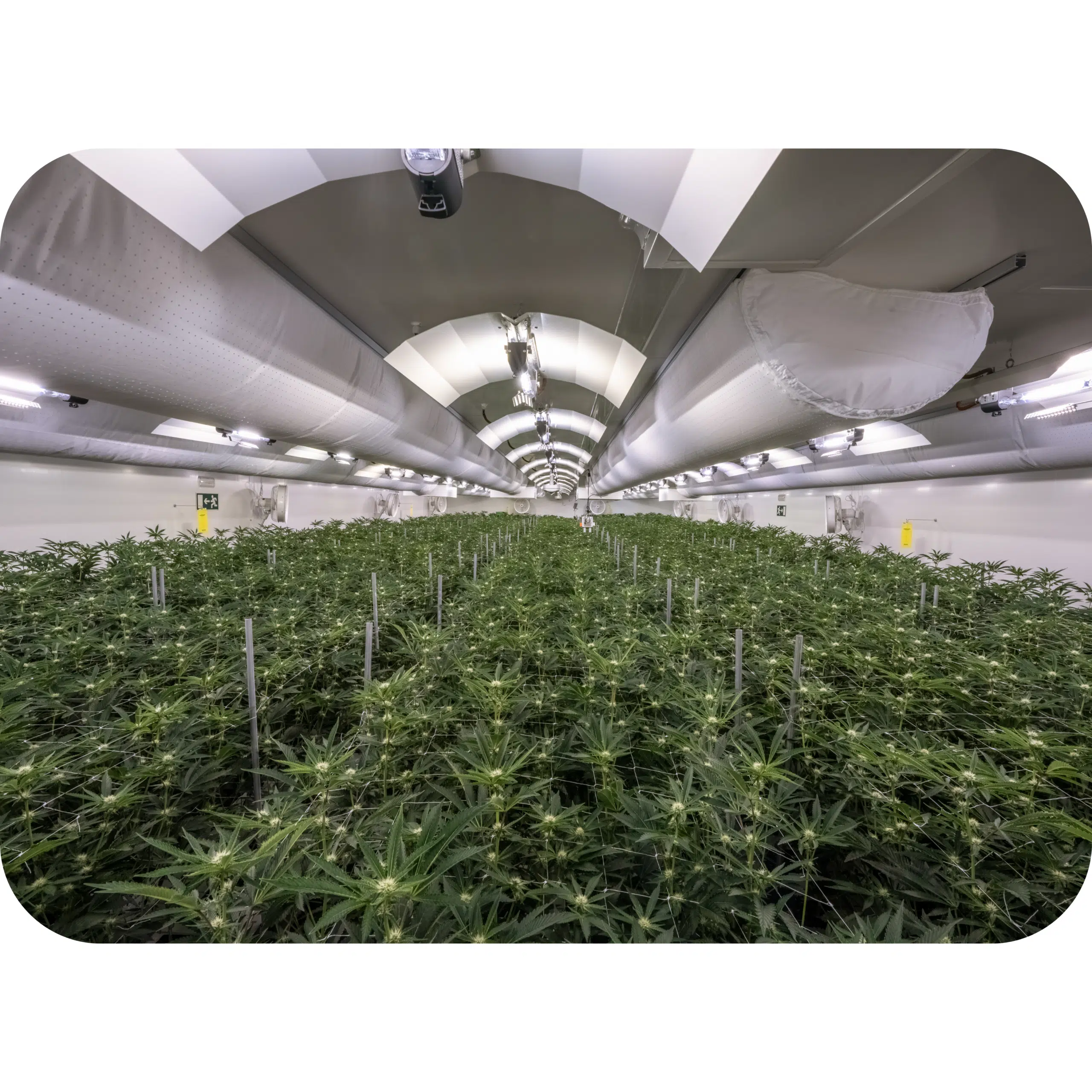 Facilities website (3)