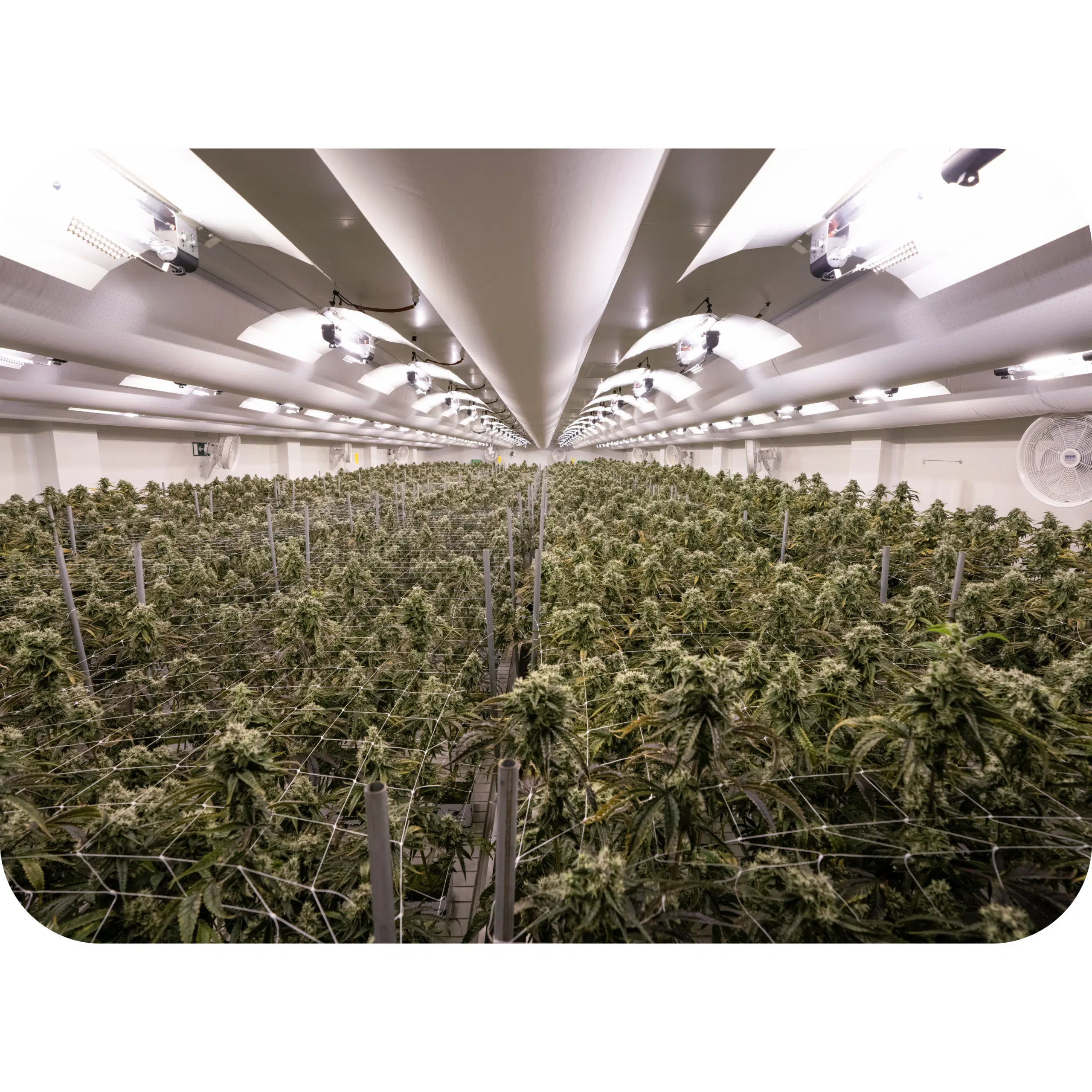 Facilities website (4)