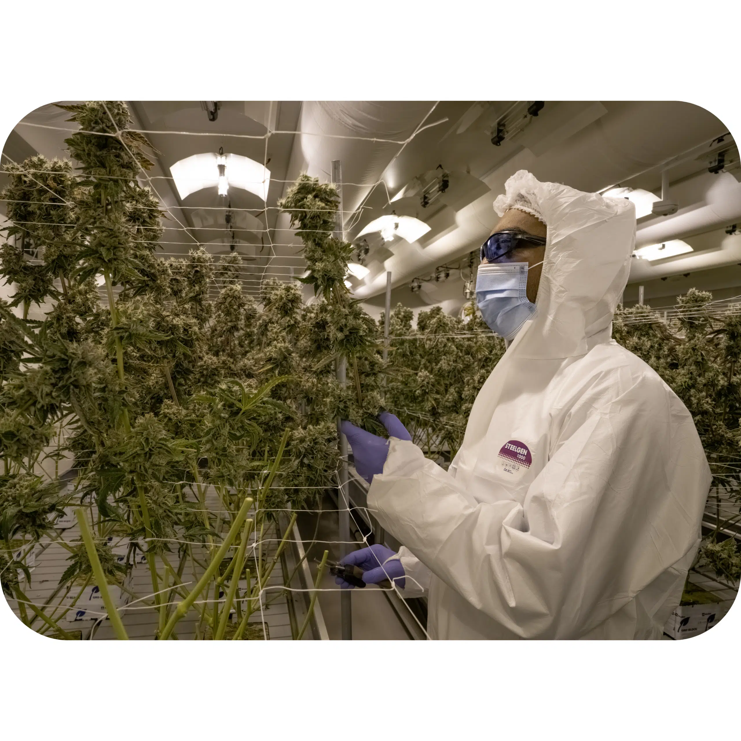 Facilities website (5)