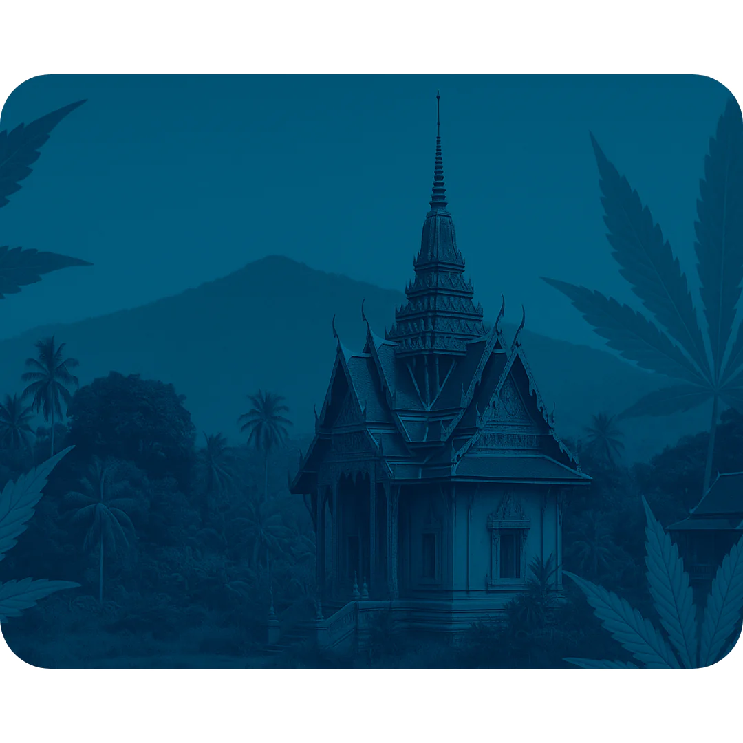 Thailand: The Cannabis Capital of Asia and Beyond