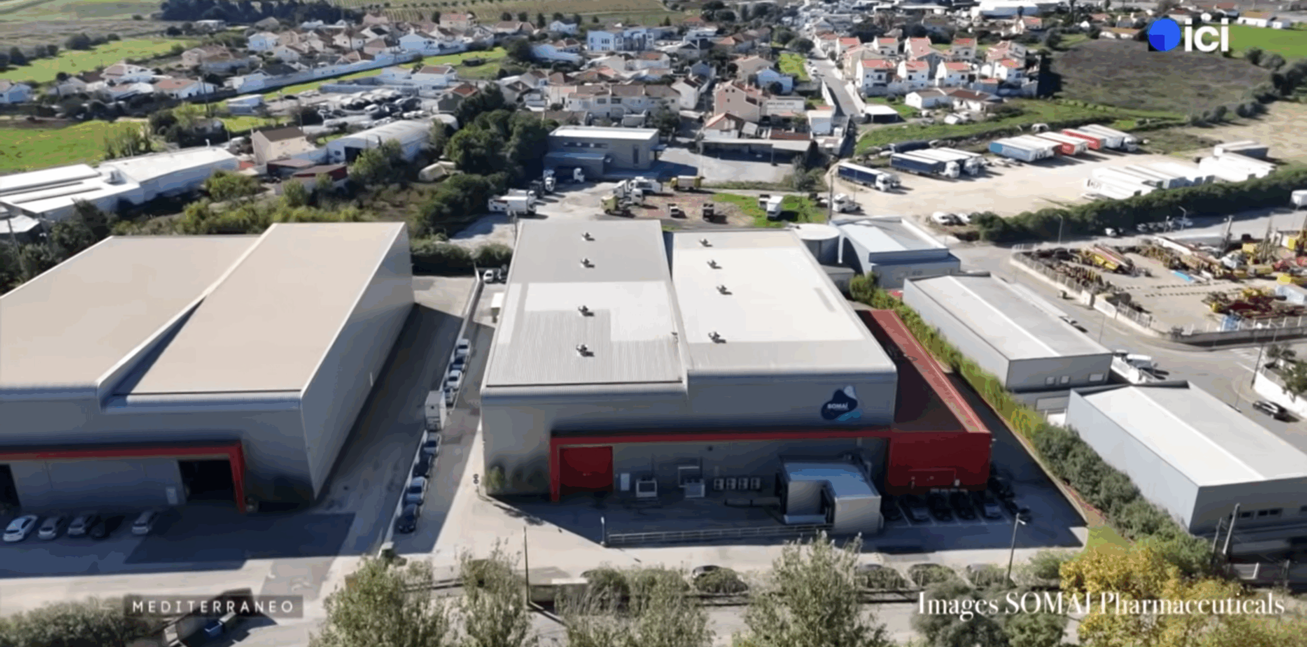 MEDITERRANEO – Derrière les serres du Portugal, une industrie légale du cannabis médical